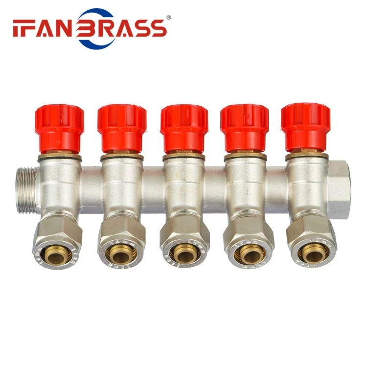 the manifold