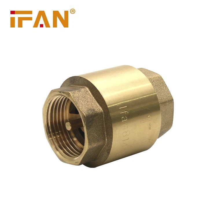 check valve check valve