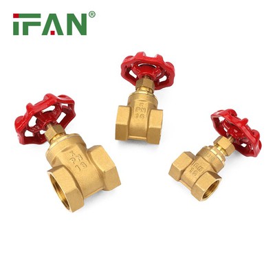 Gate Valve 20 Gate Valve 20